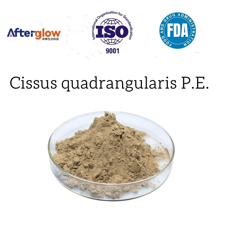 Cissus quadrangularis extract