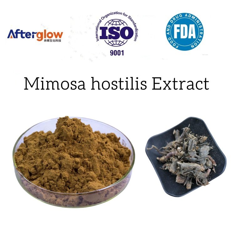 Mimosa hostilis Extract