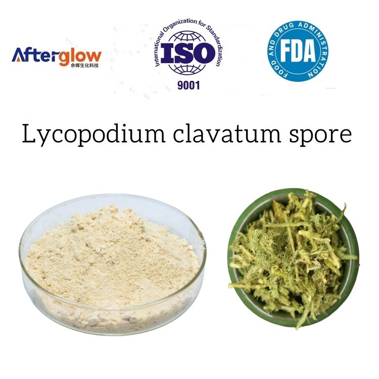 Lycopodium clavatum spore powder