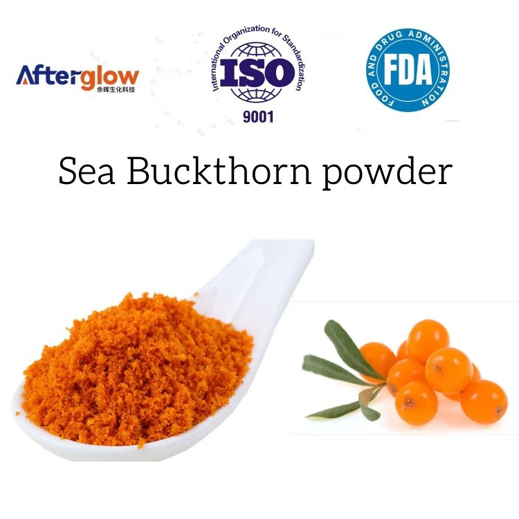 Sea Buckthorn Fruit powder