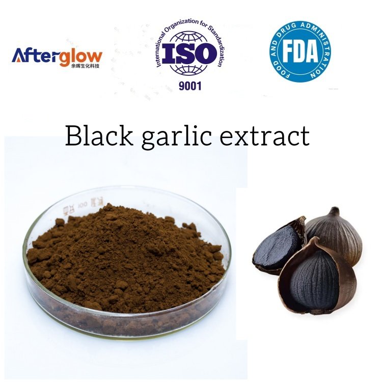 Black garlic extract