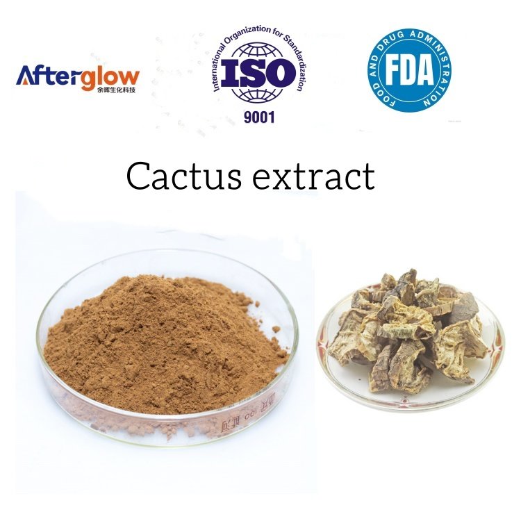 Cactus Extract