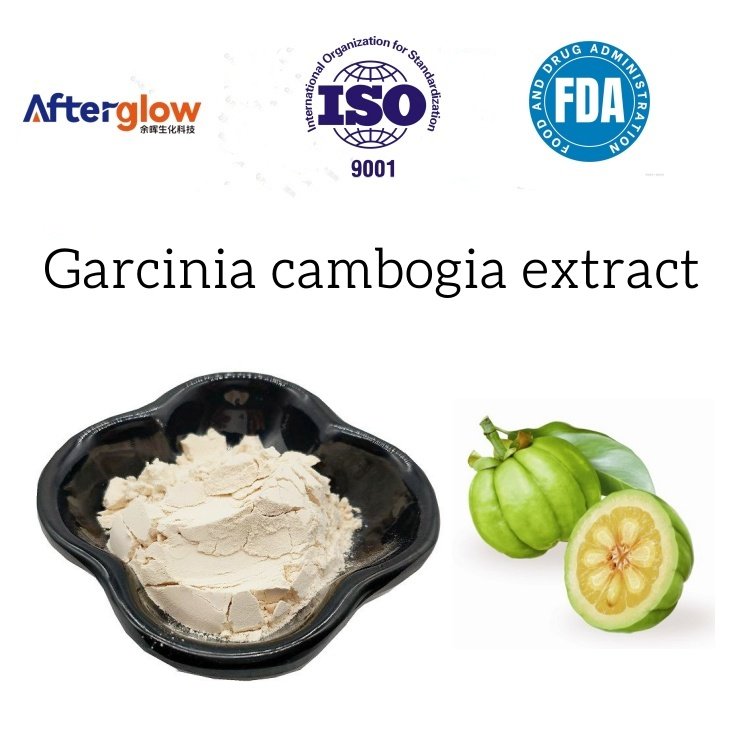 Garcinia cambogia extract Hydroxycitric acid HCA