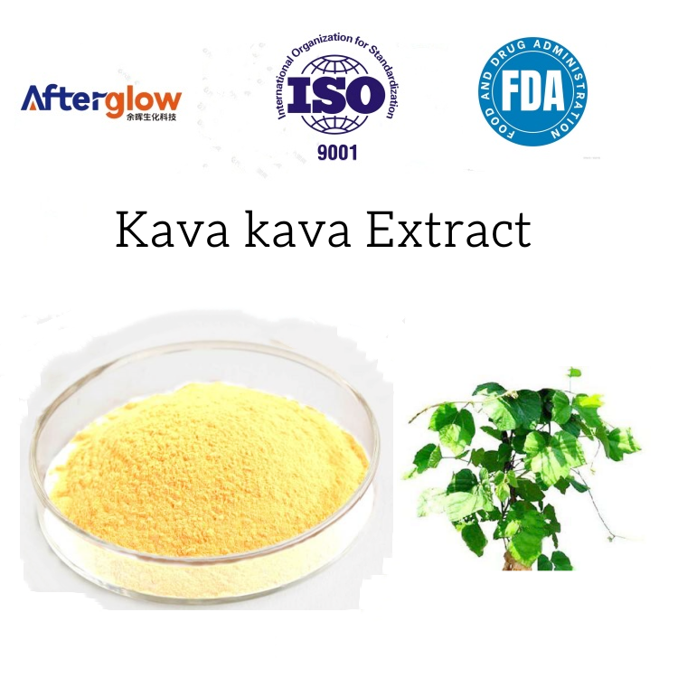 Kava Extract Kavalactones