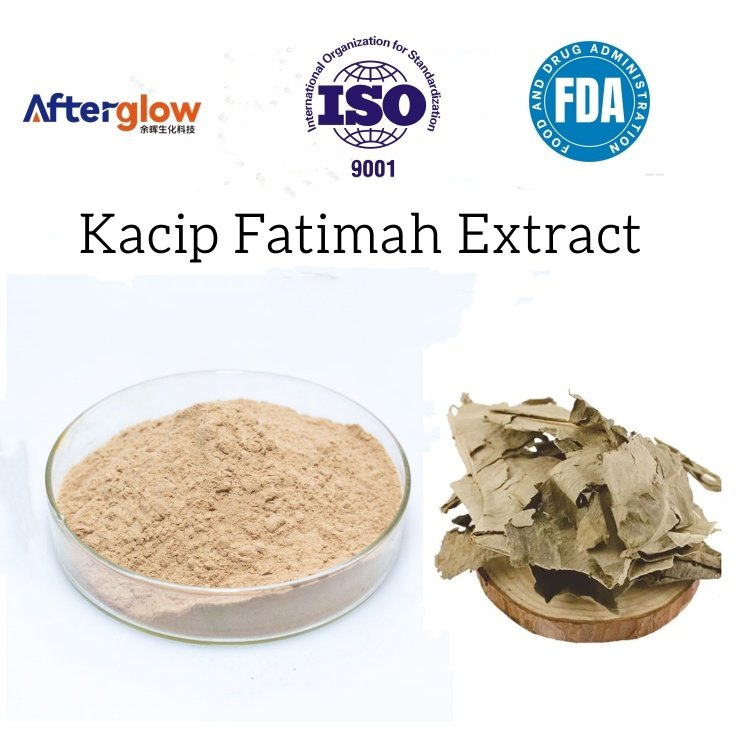 Kacip Fatimah Extract