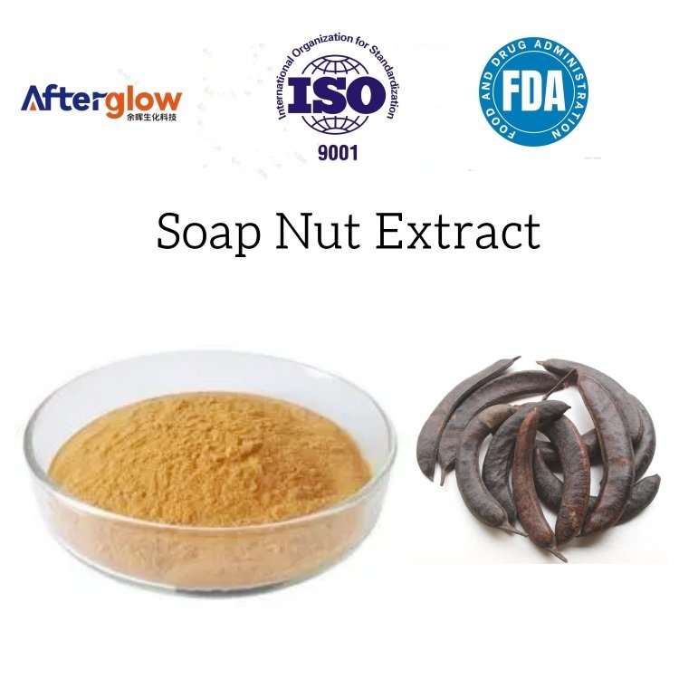 Soap Nut Extract