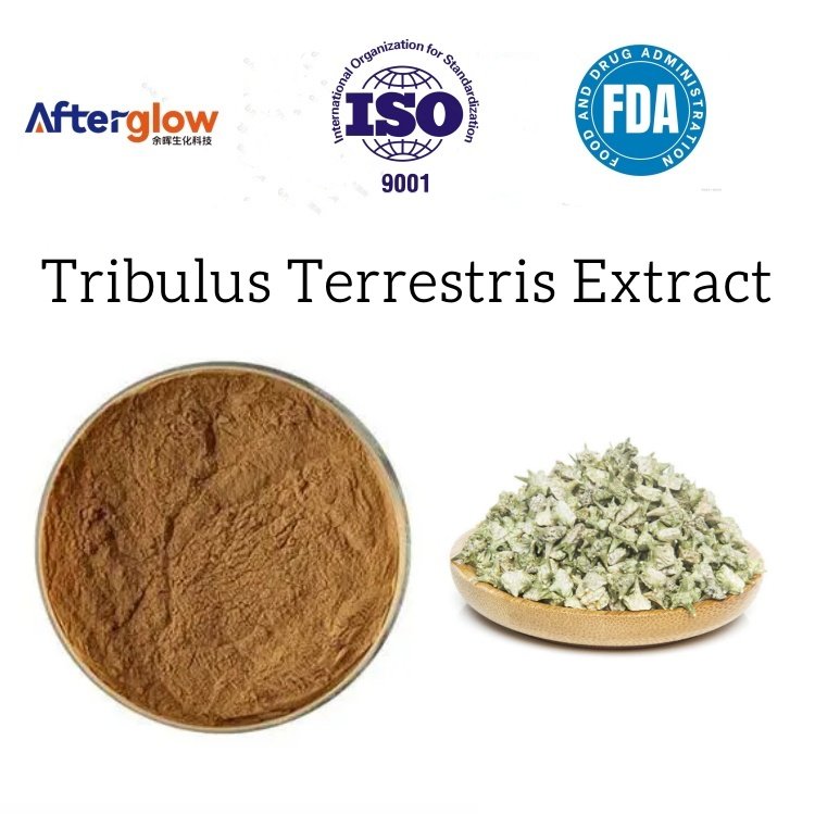 Tribulus Terrestris Extract