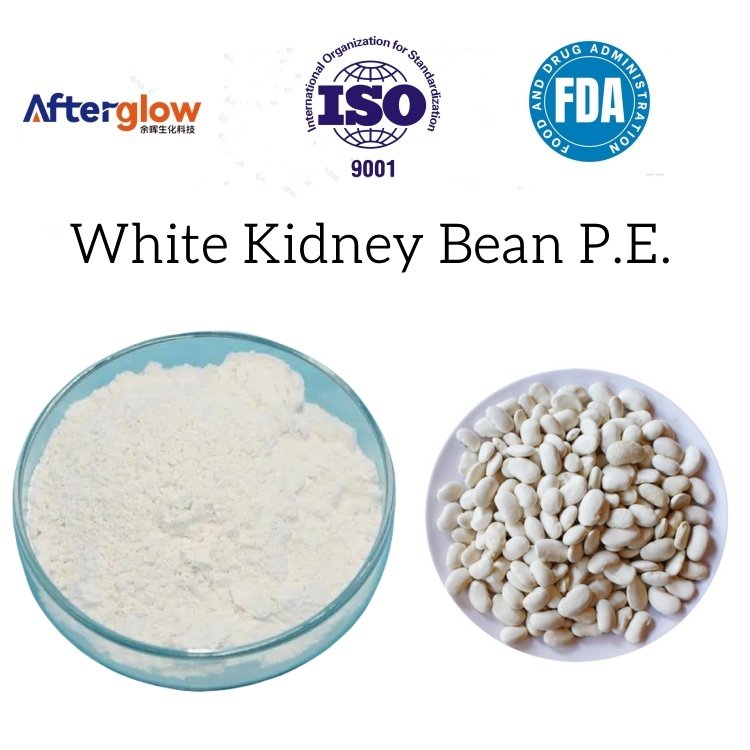 White Kidney Bean Extract