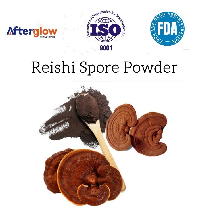 Reishi Spore Powder