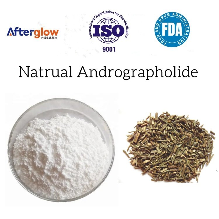 Andrographolide 98%