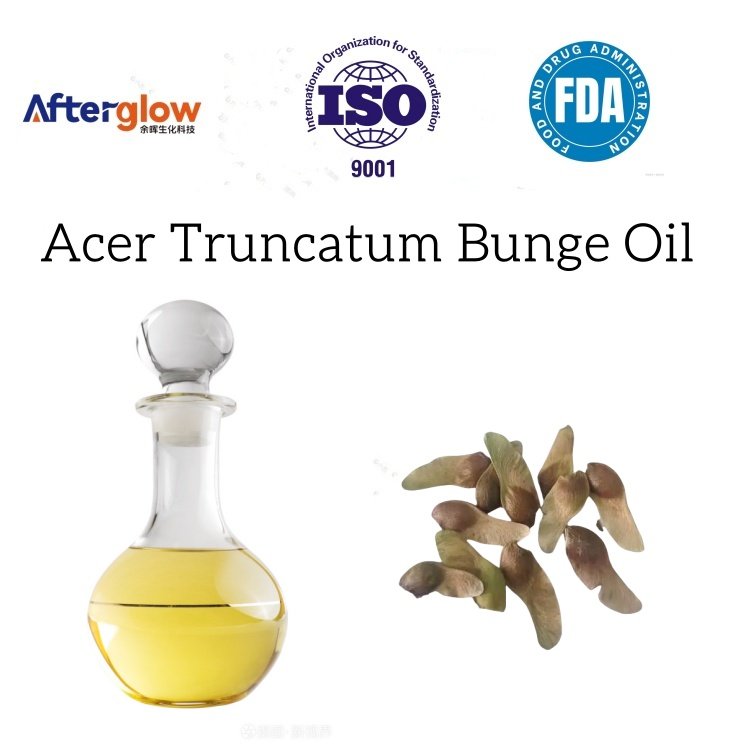 Acer Truncatum Bunge Seed Oil