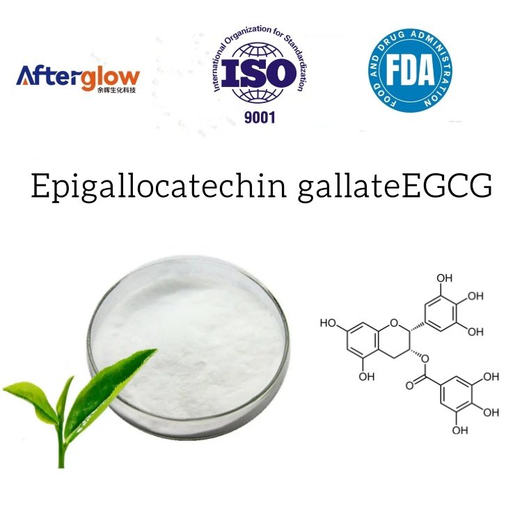 Green Tea extract EGCG