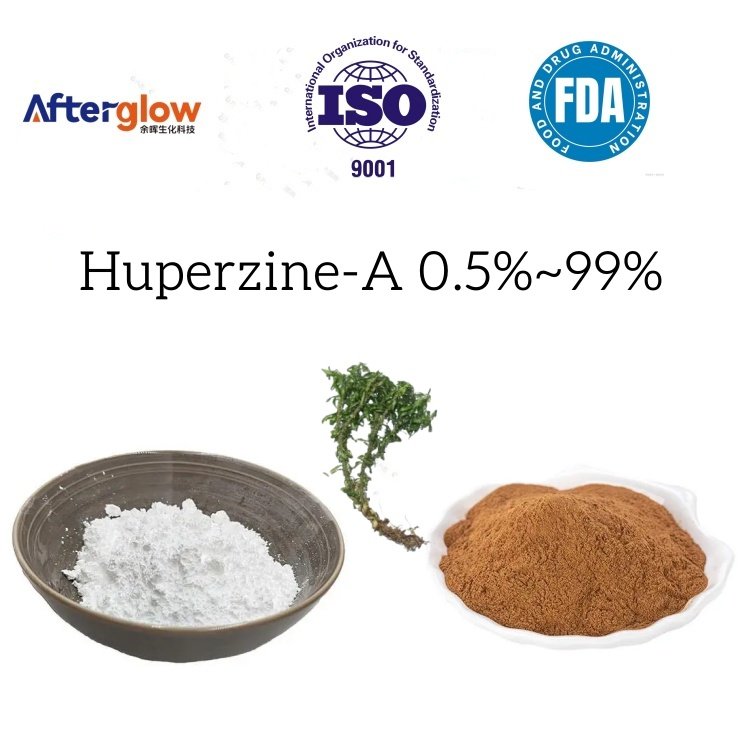 Huperzia Serrata Extract Huperzine-A