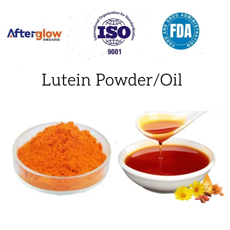 Marigold Extract Lutein powder / oil