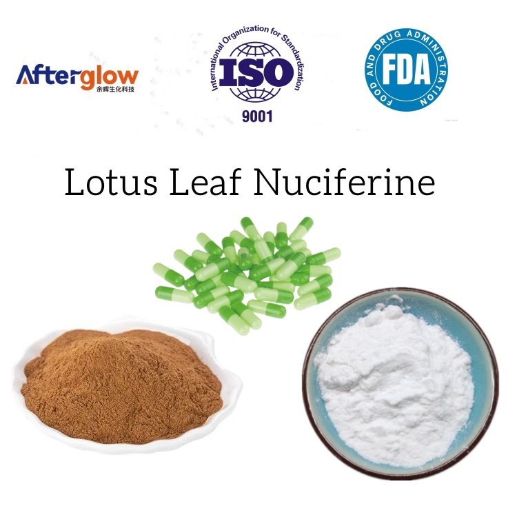 Lotus Leaf  Nuciferine