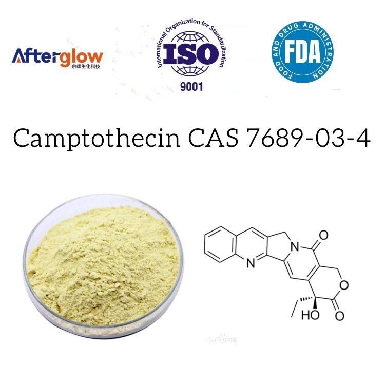 Camptotheca acuminata Extract  Camptothecin