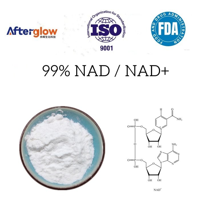 Nicotinamide adenine dinucleotide / NAD