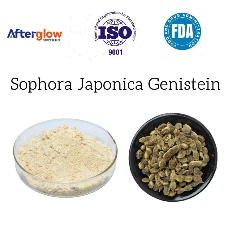 Sophora Japonica Extract Genistein