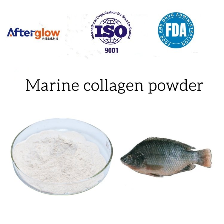 Marine collagen powder Fish collagen peptide