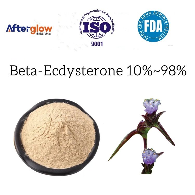 Cyanotis Arachnoidea Extract Ecdysterone/20-Hydroxy Ecdysone