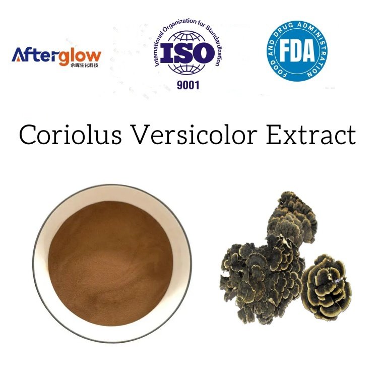 Coriolus Versicolor Extract polysaccharide peptide