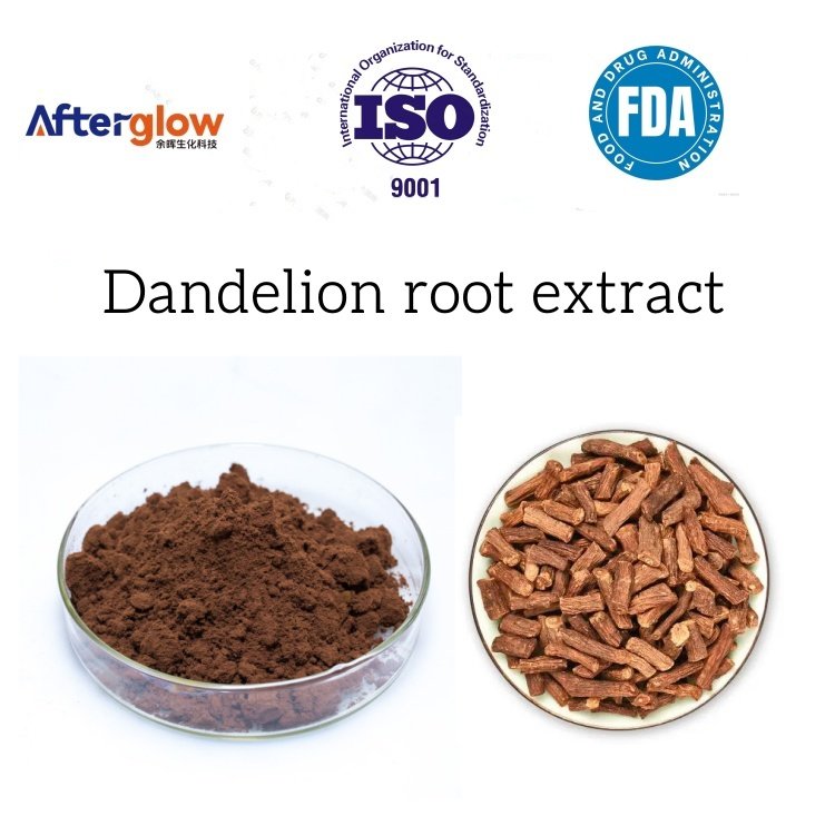 Dandelion root extract