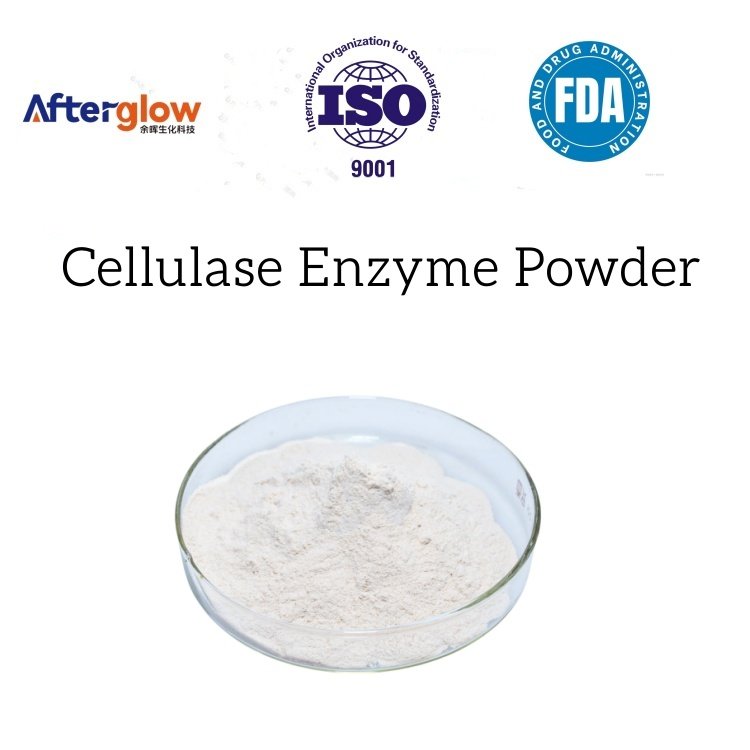 Cellulase Enzyme