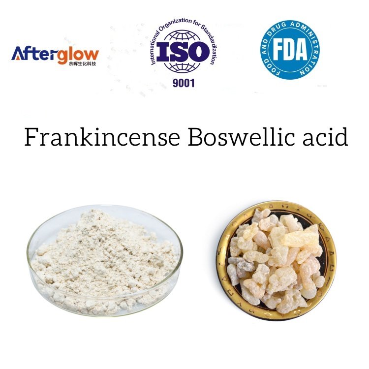 Frankincense Serrata Extract Boswellic acid