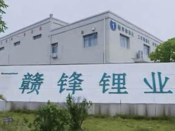 江西赣锋锂业股份有限公司（新余分公司）