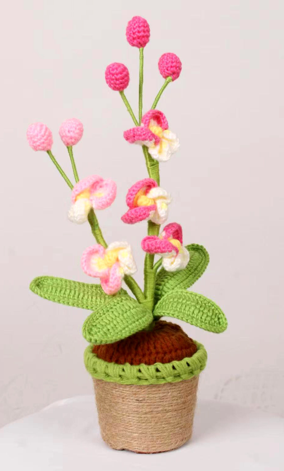 Handmade Crochet Phalaenopsis Orchid for Home Office Ornaments