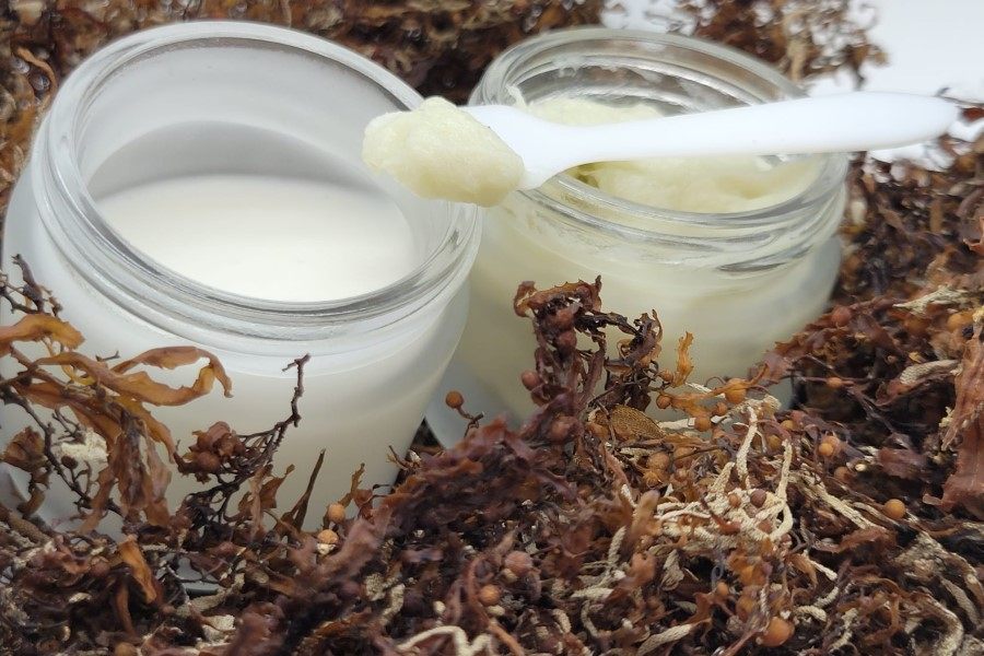 比斯特费尔德获得 Carbonwave 乳化剂的经销权