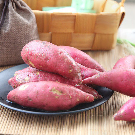 广西天等县农产品展销暨民俗文化活动推介会