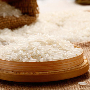 扎兰屯市玉米等粮食稳定增长 种植户获得感多