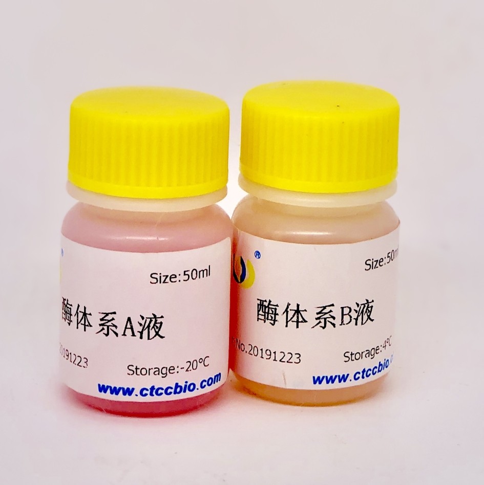 鼠输尿管上皮细胞解离酶