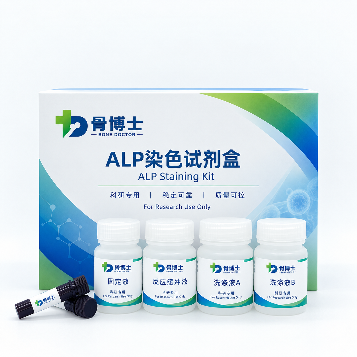 ALP染色鉴定试剂盒