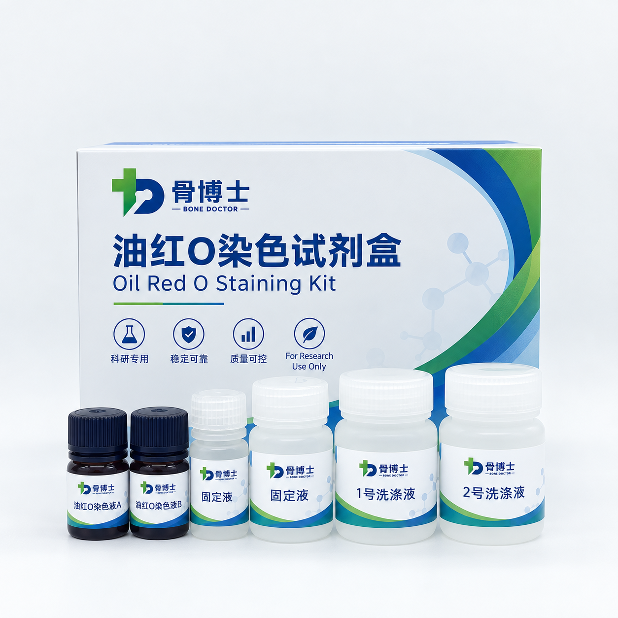 油红O染色试剂盒
