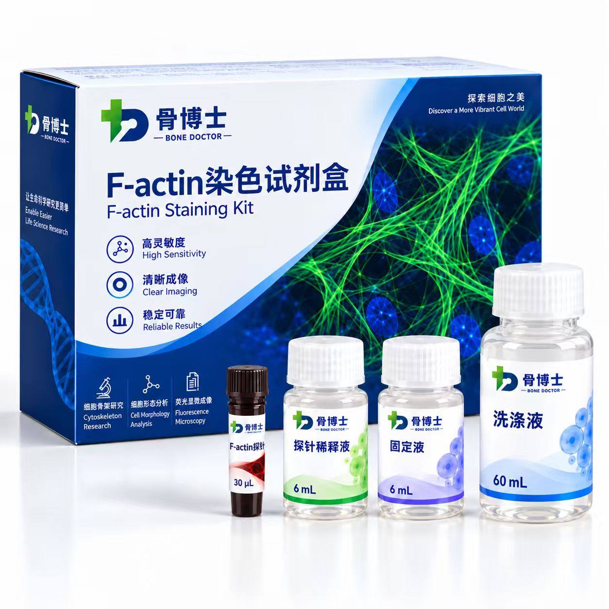 F-actin染色试剂盒