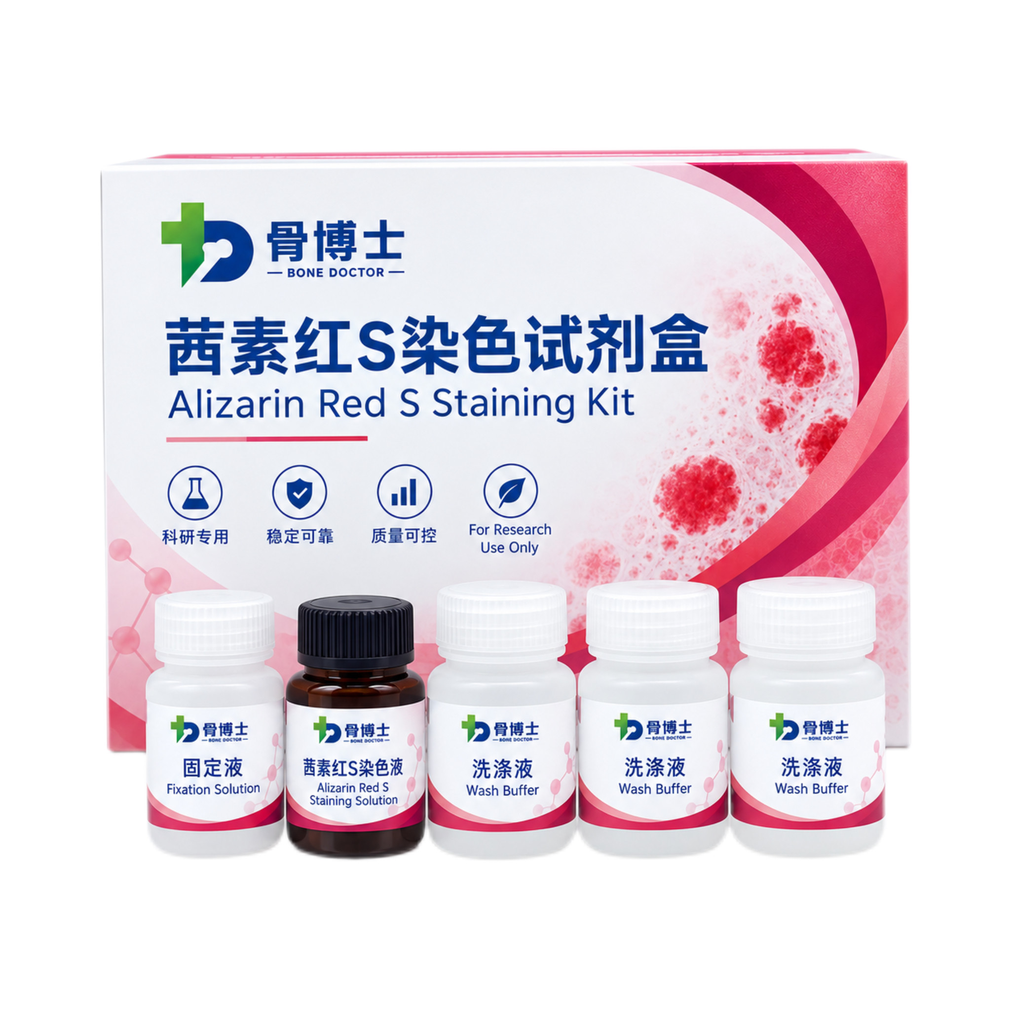 茜素红S染色试剂盒