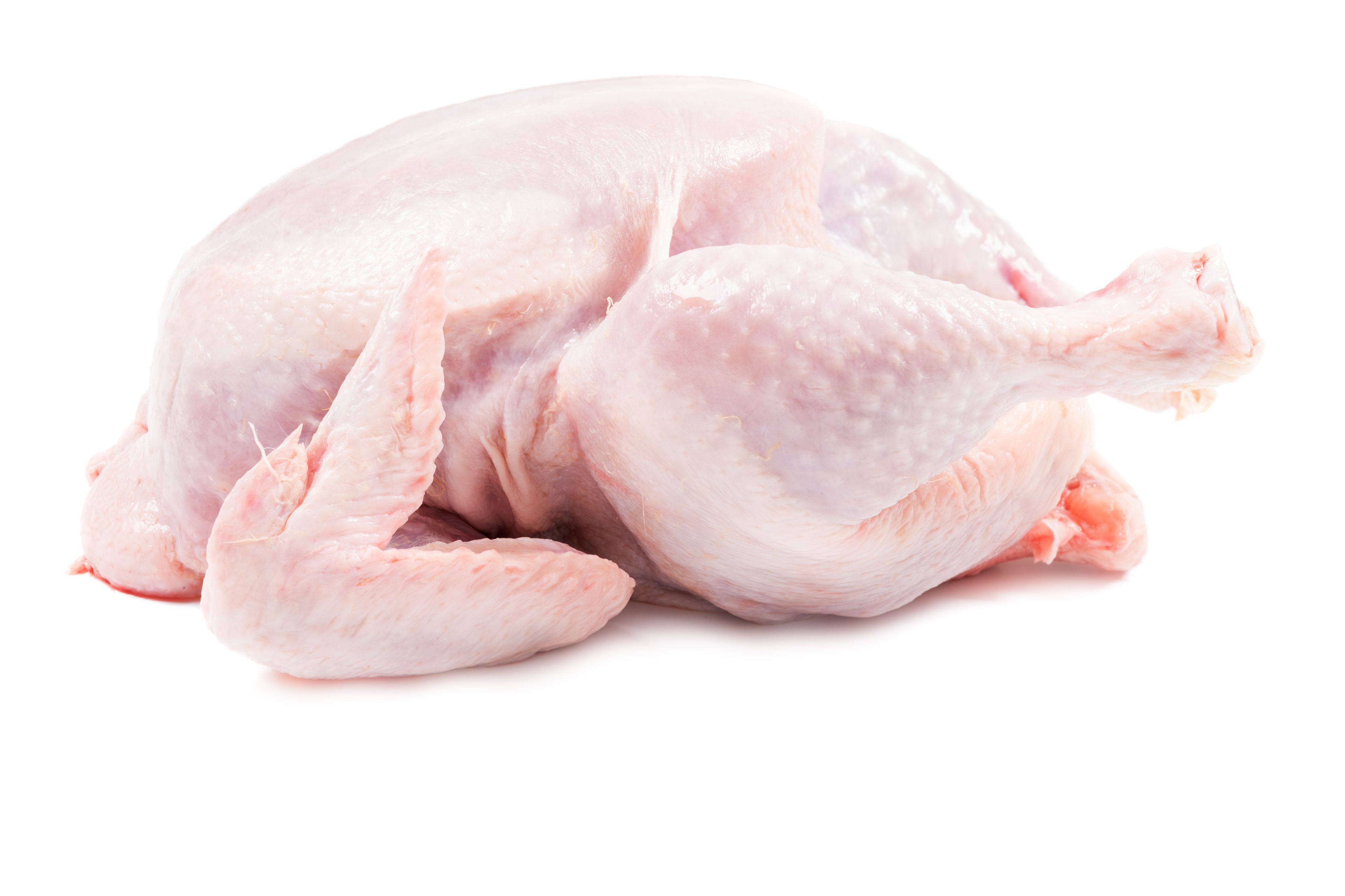 BRAZIL CHICKEN EXPORT