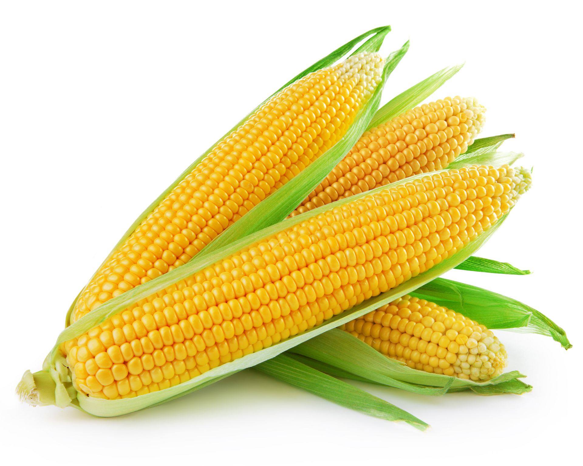 CORN