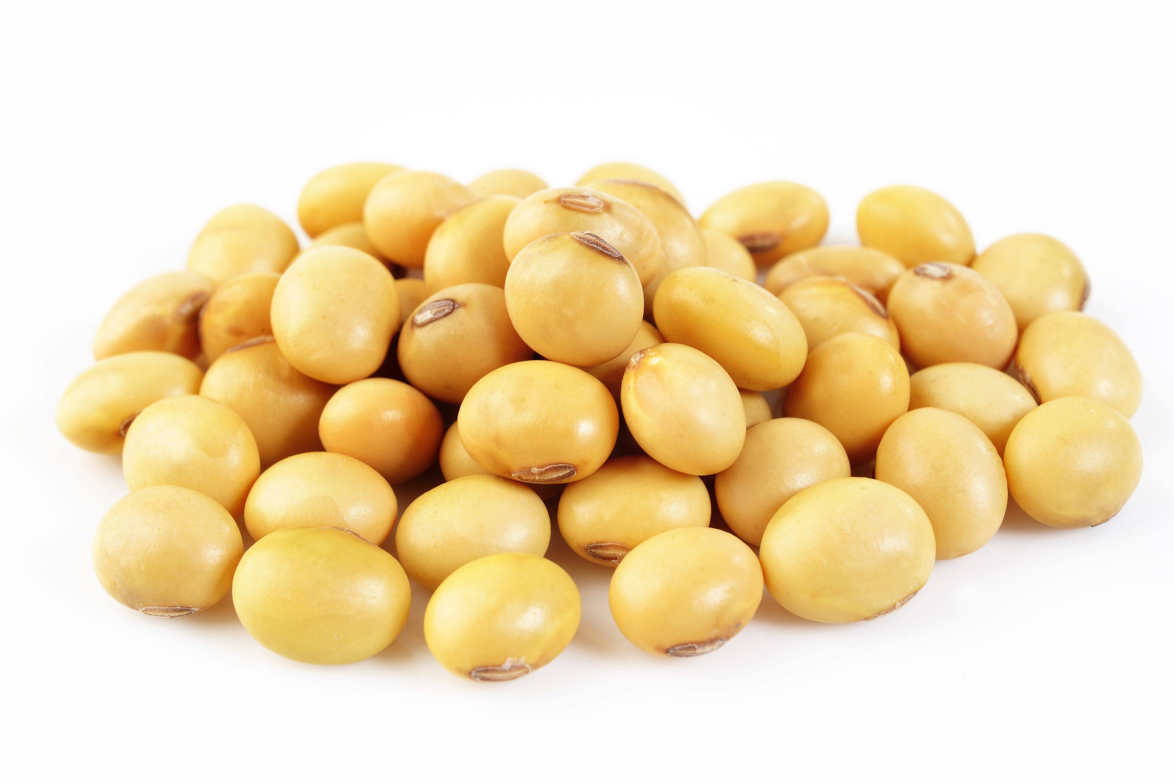 SOYBEAN