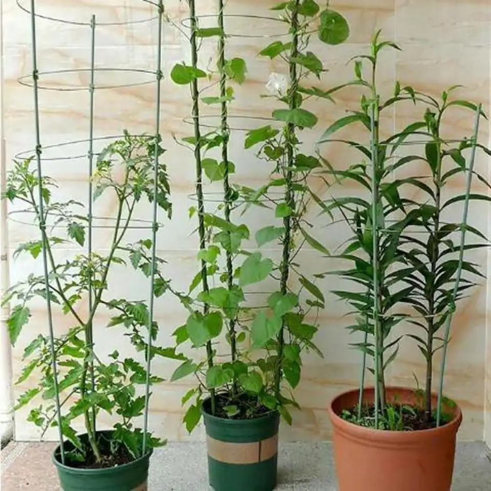 Garden Support Trellis