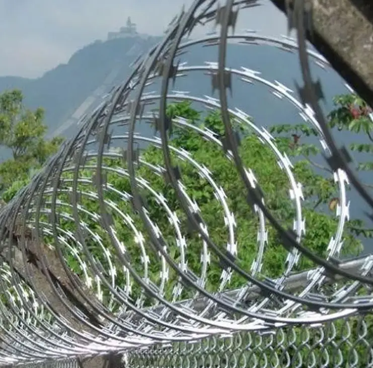 Concertina Razor Wire