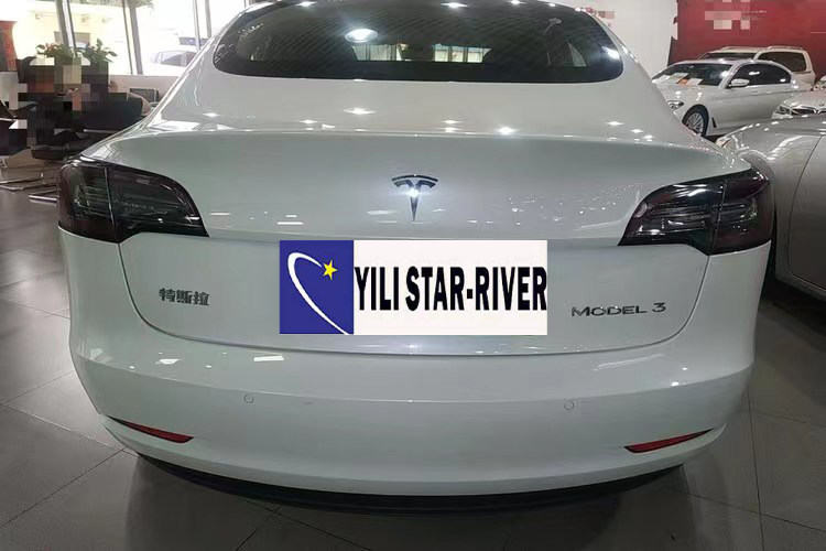 Tesla Model 3 460KM