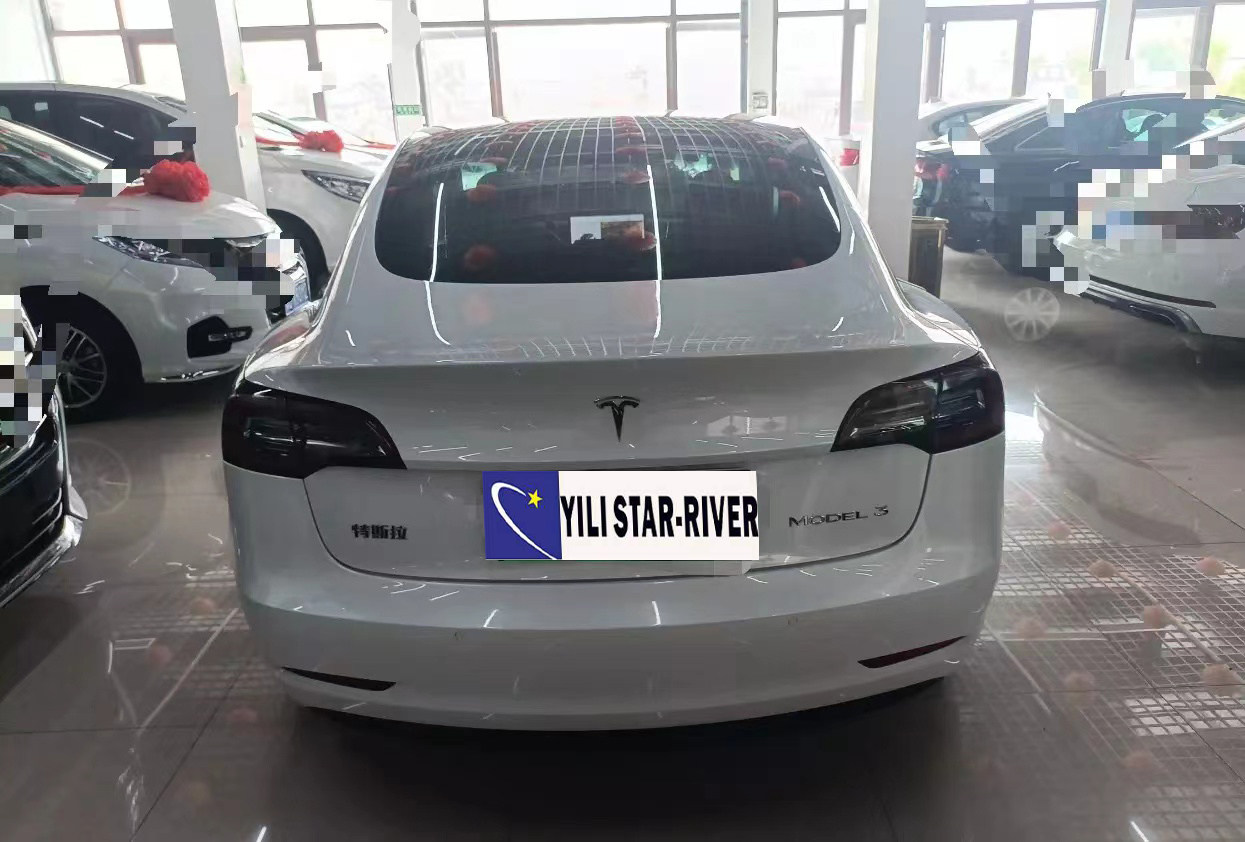 Tesla Model 3 460KM