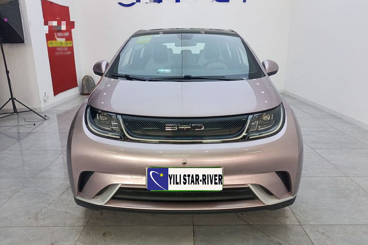 BYD Dolphin 2021 405km