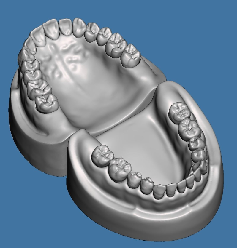 全口牙练习模型