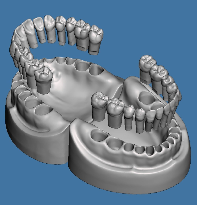 全口牙练习模型