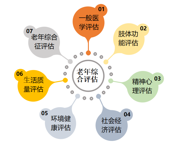 老年综合评估系统