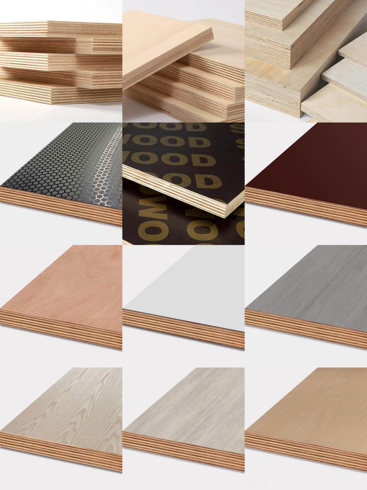 285192027_1178180729693508_436402358319457113_n_conew1